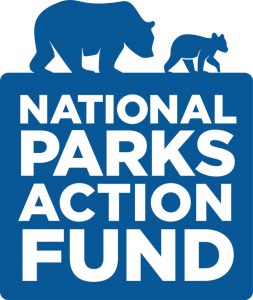 Action Fund blue logo