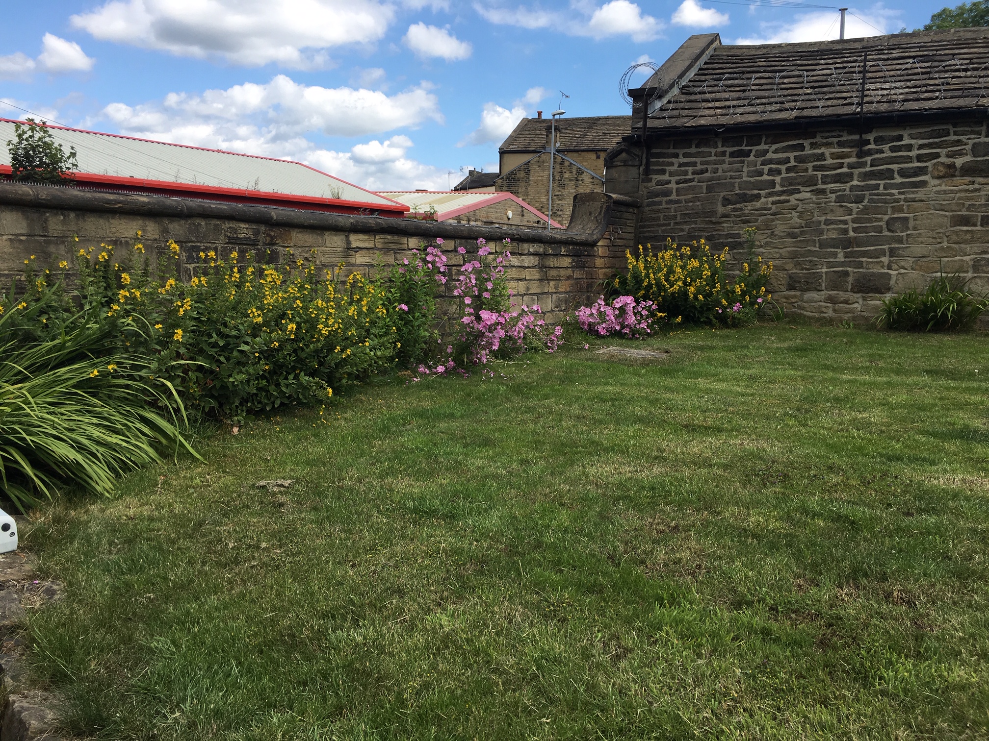 Pink and Yellow Flowers in Bloom at Leigh House Pudsey