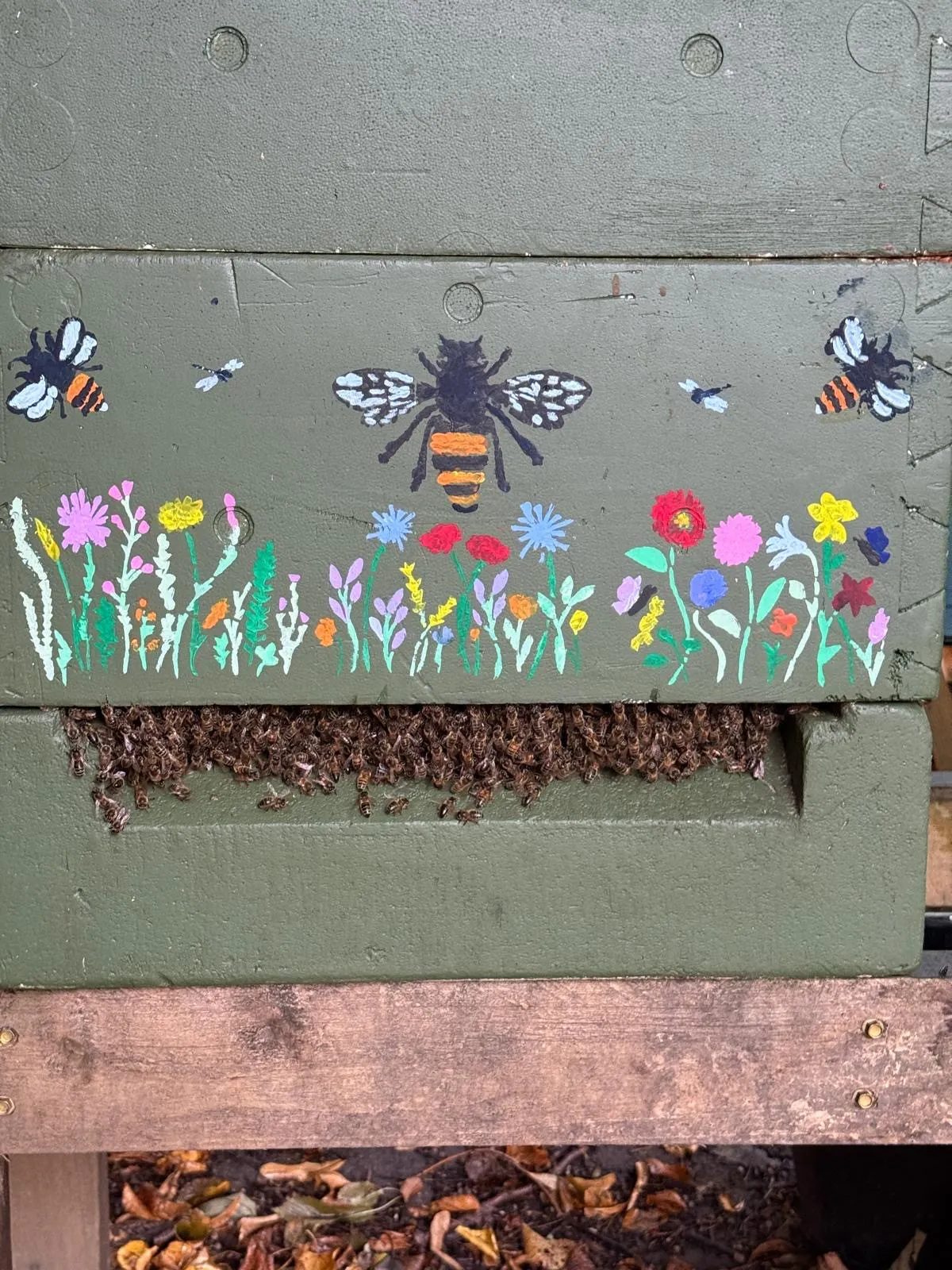 A dense cluster of bees "bearding" at the hive entrance