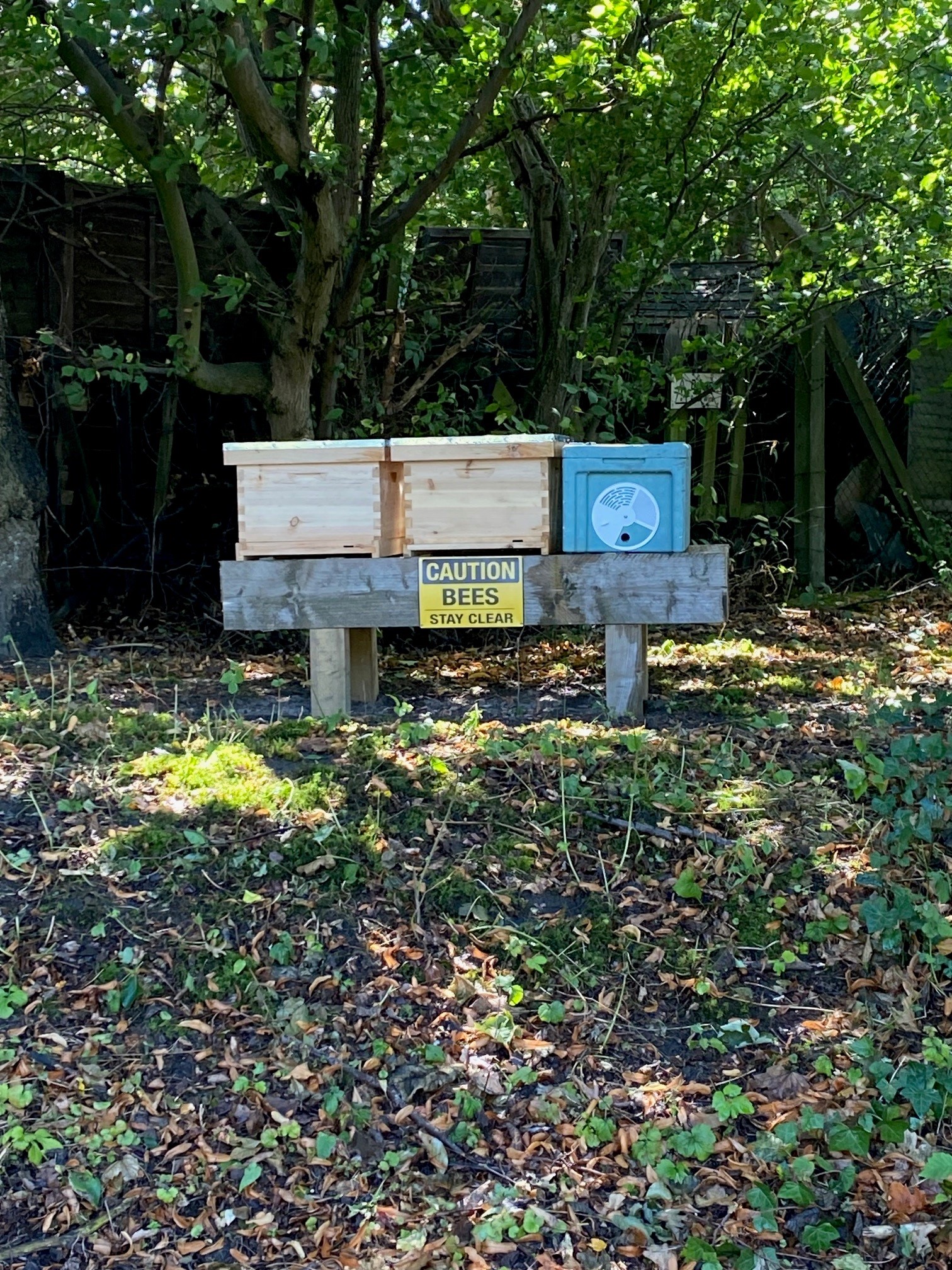 beehives at Leigh House Leeds