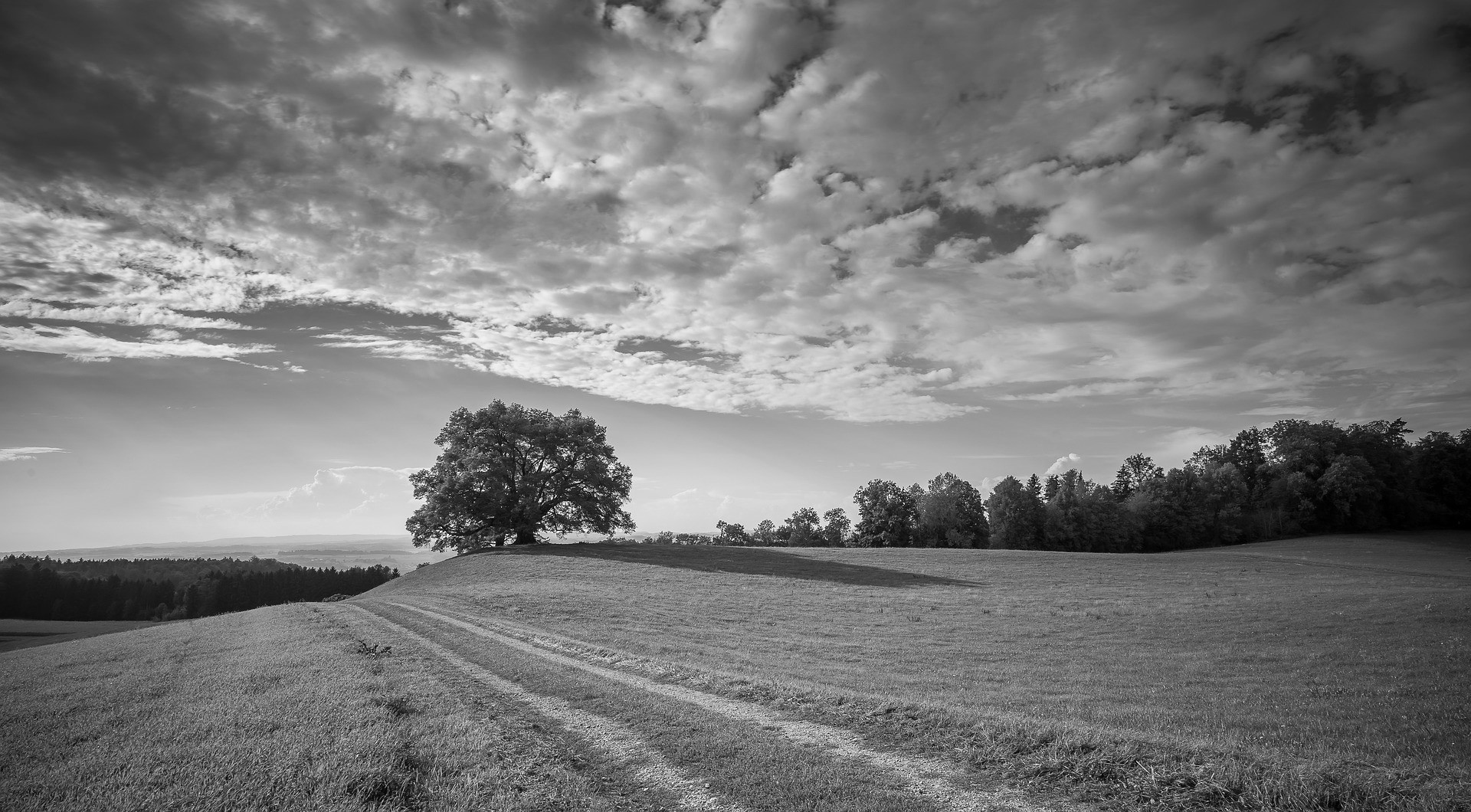 Definitionen von CSR und CCF
