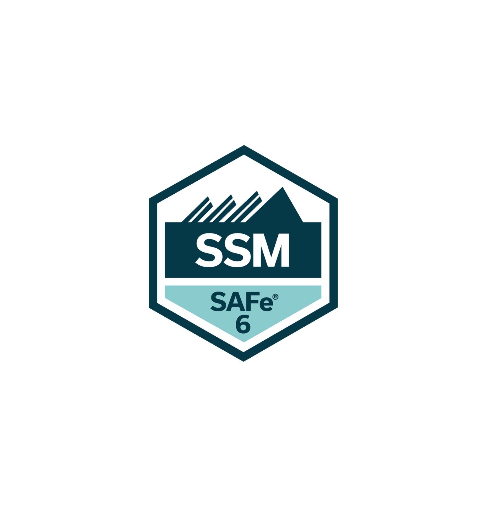 Certification SAFe® Scrum Master