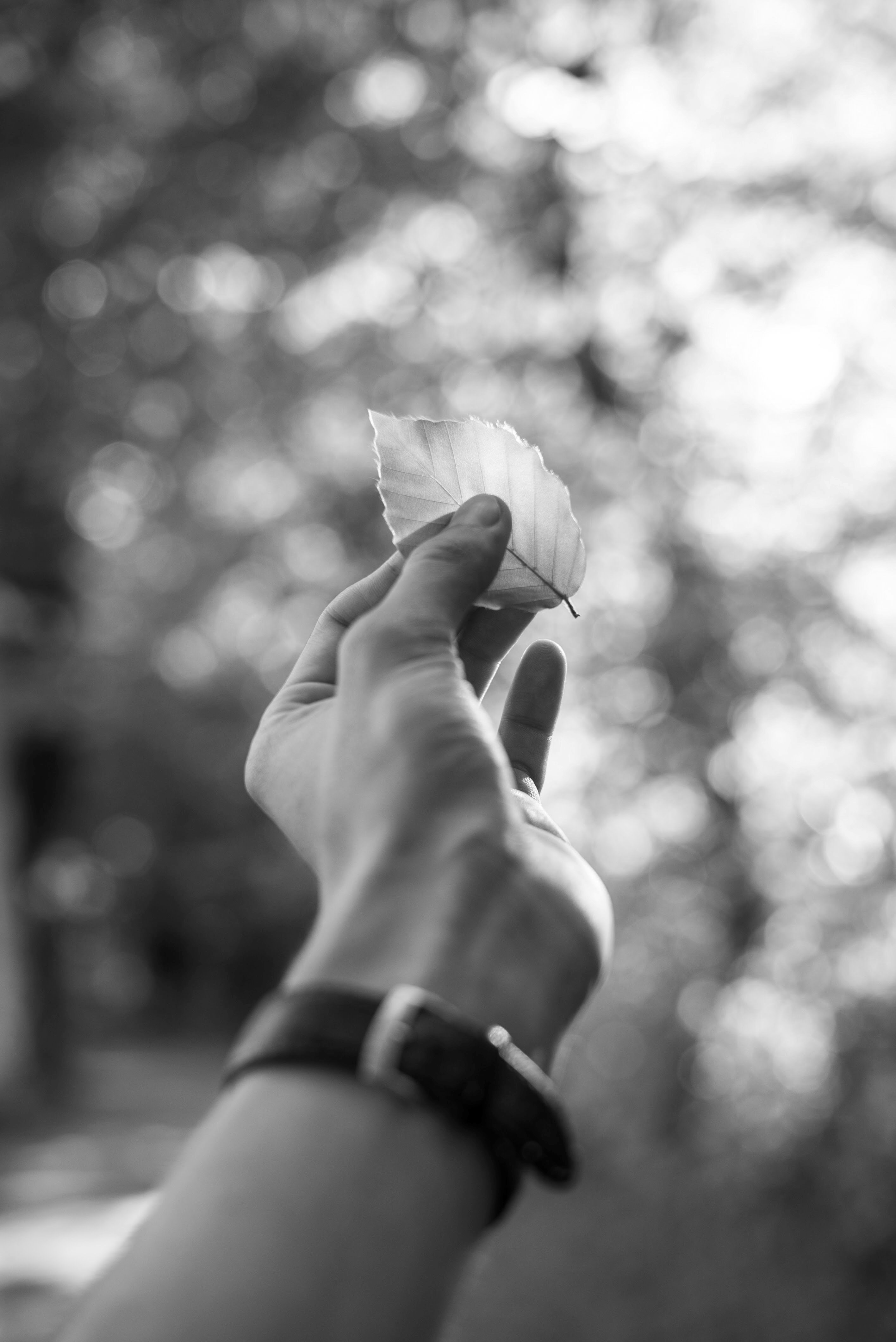 LEITWERK takes up the green challenge