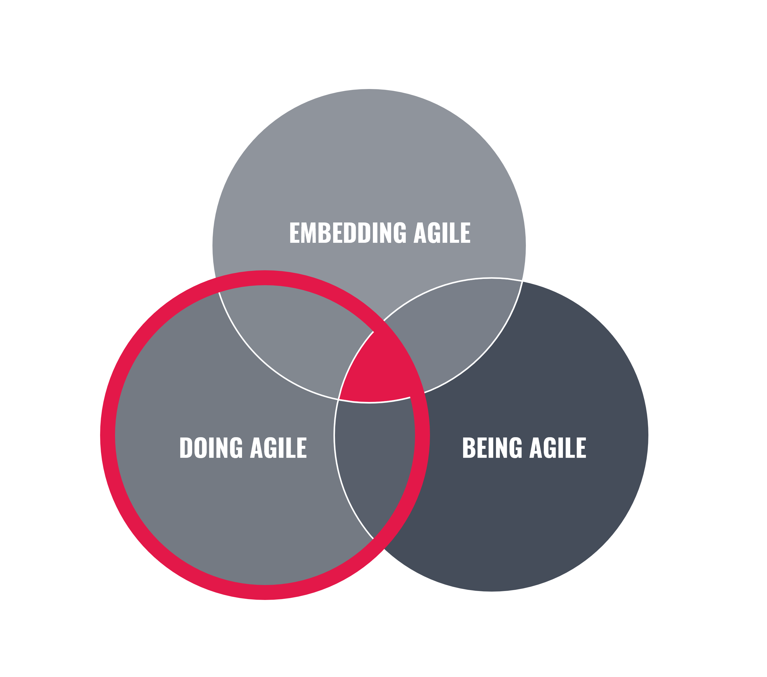 Agile Transformation - Doing Agile