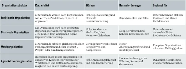 Organisationsstrukturen