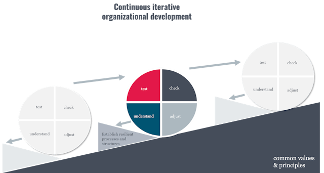 organisation development