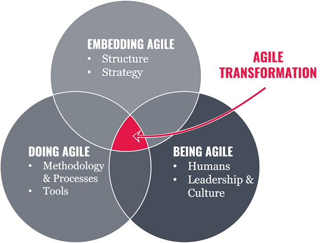 LWC's understanding of an agile transformation