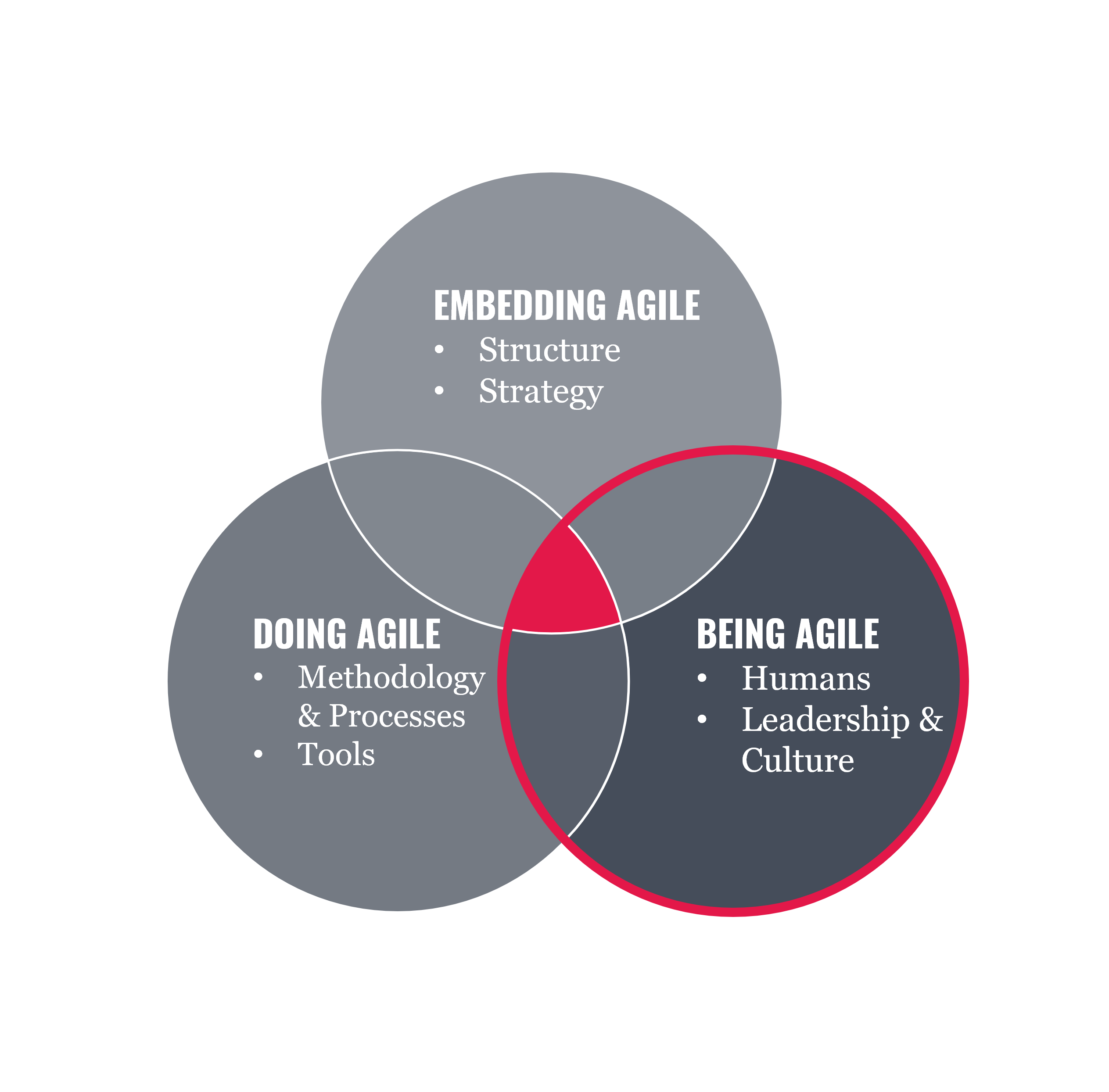 Agile transformation - Being Agile