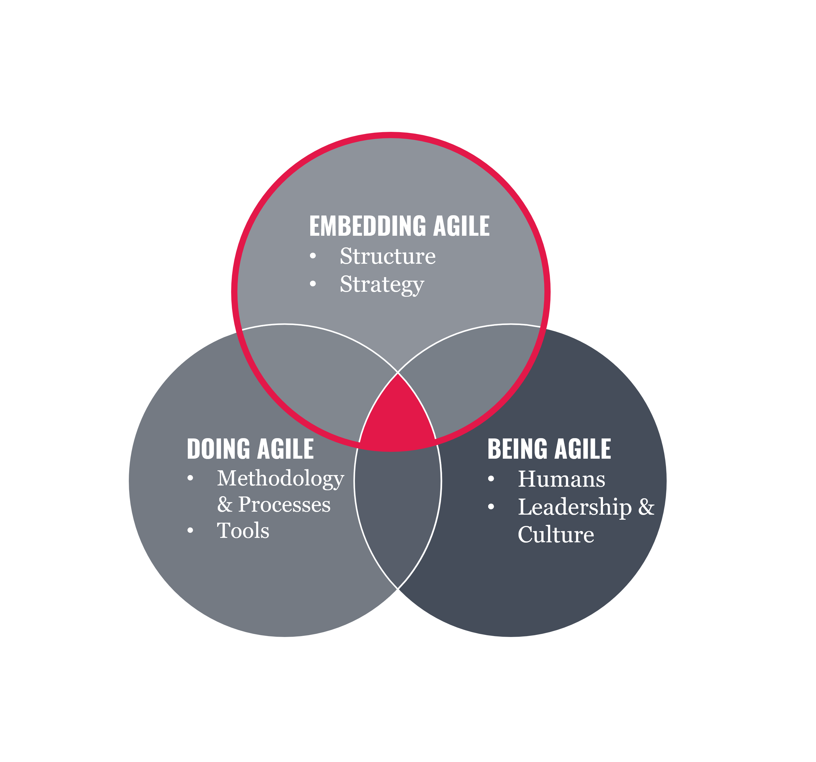 Agile transformation - Embedding Agile