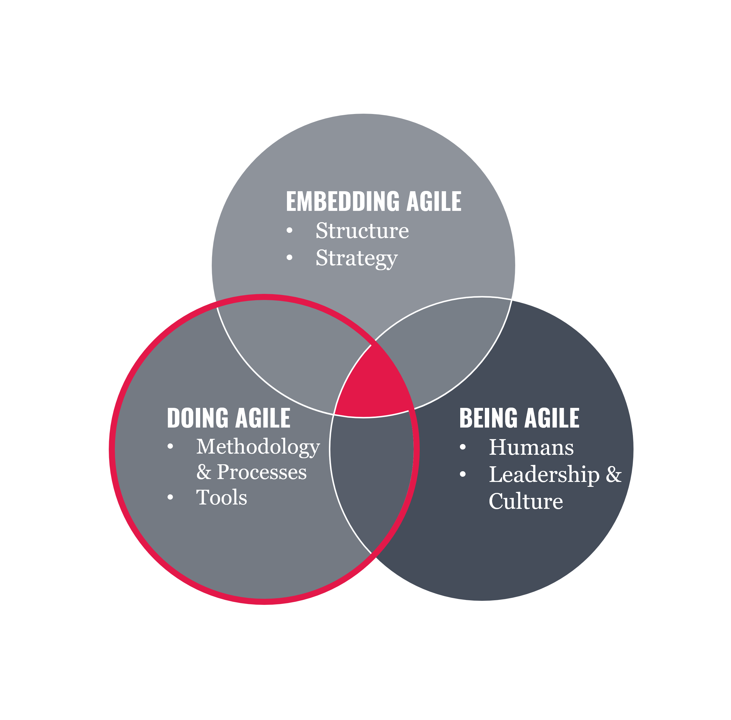 Agile transformation - Embedding Agile