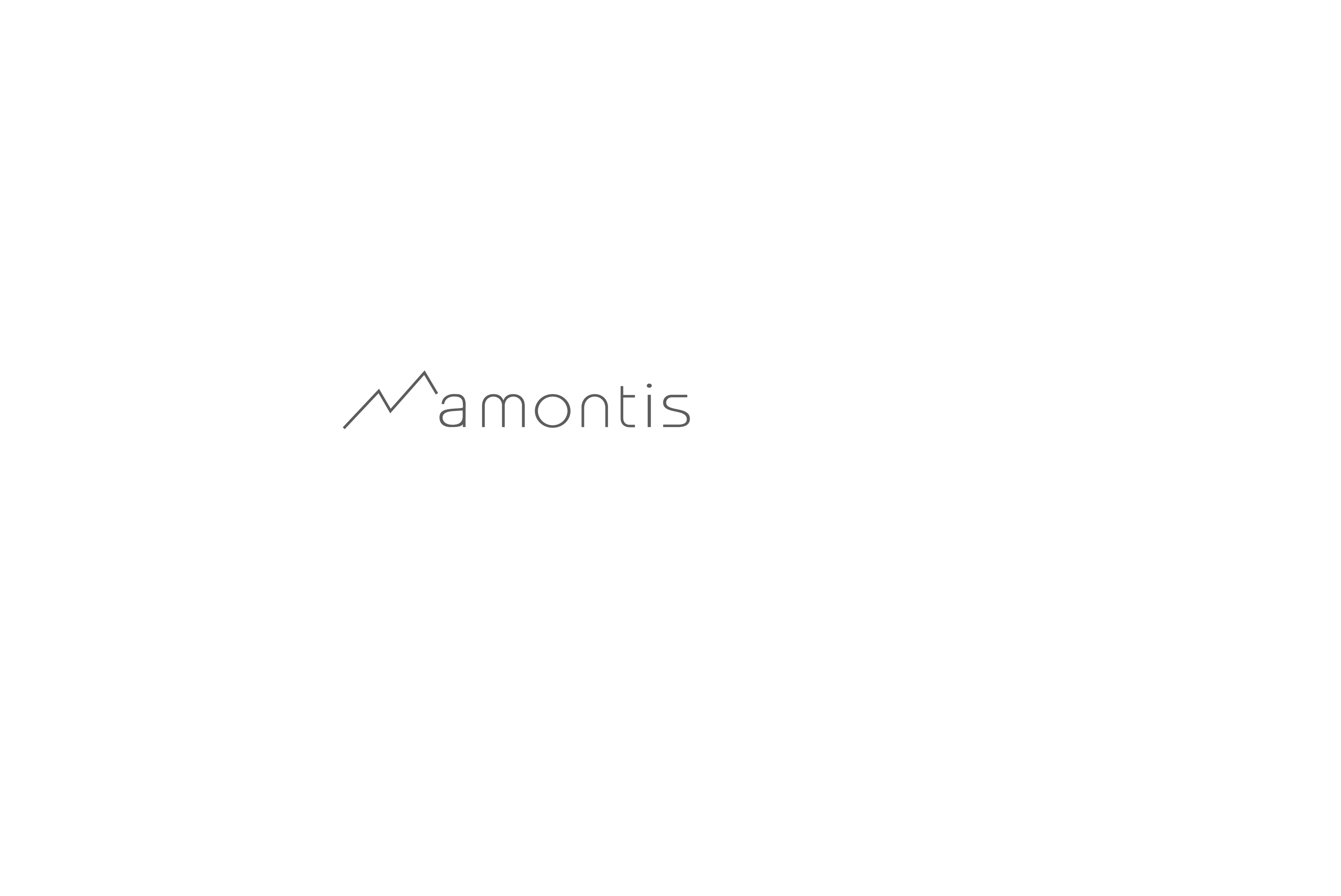 Amontis logo