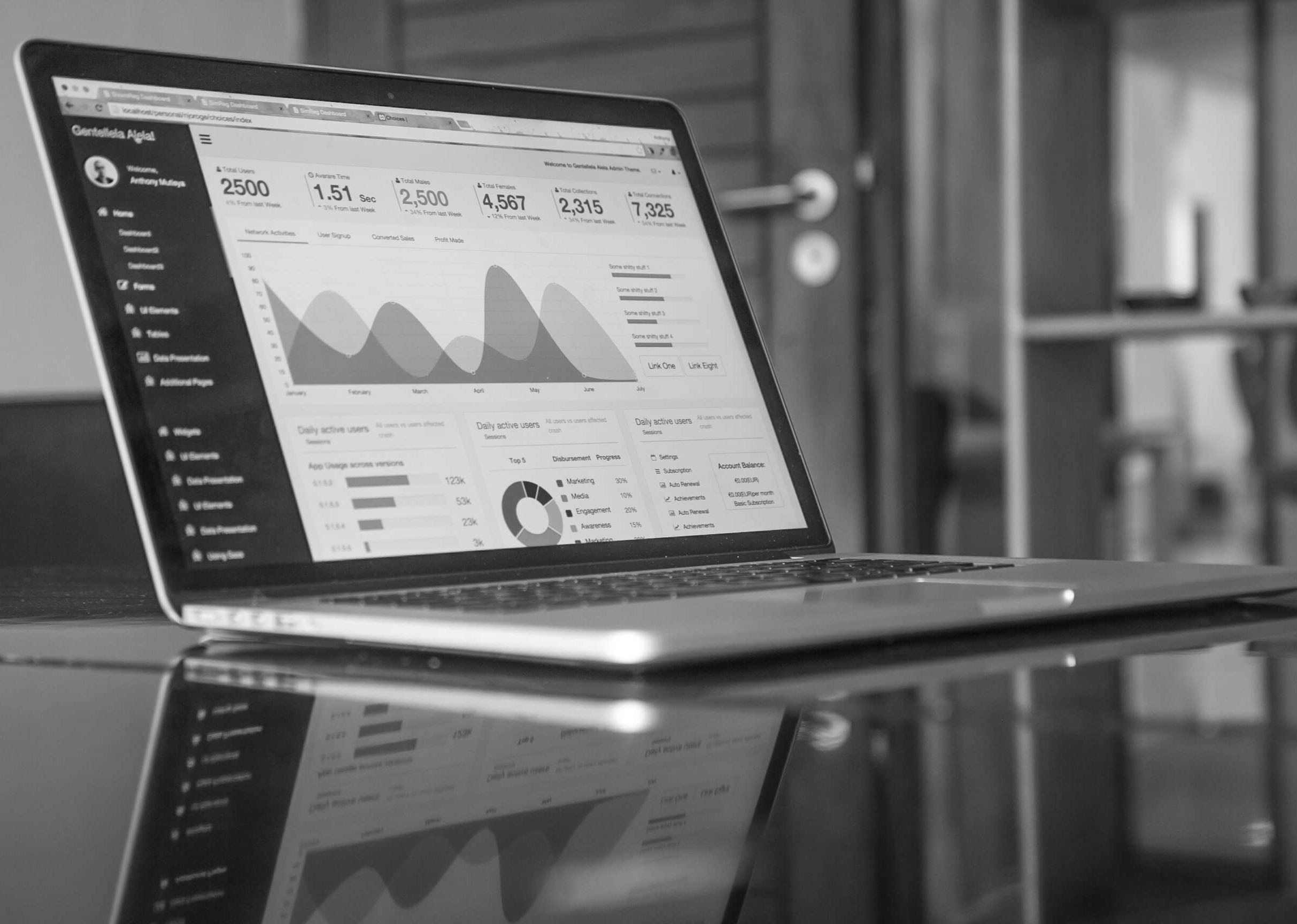 Portfolio- und Programmmanager:innen