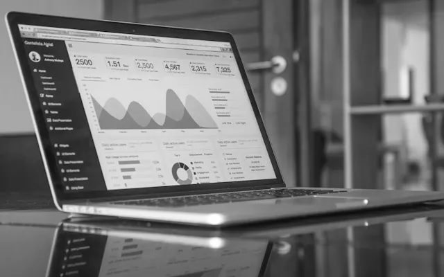 Portfolio- und Programmmanager:innen