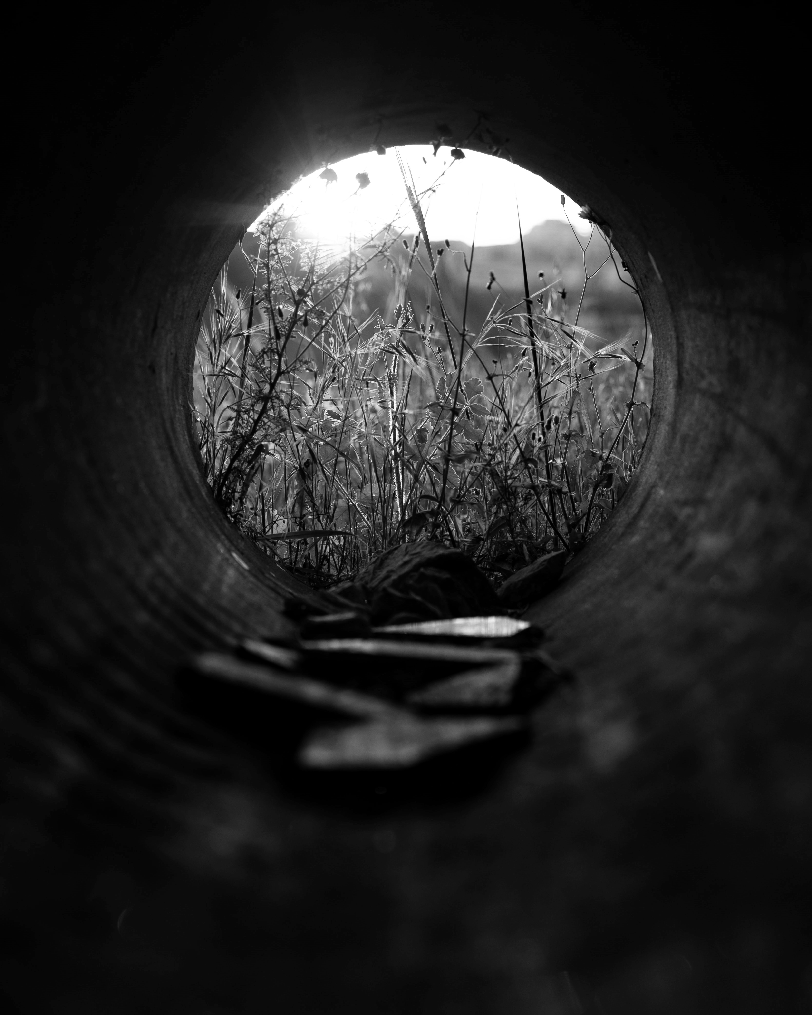 the most important information for the sustainability report 