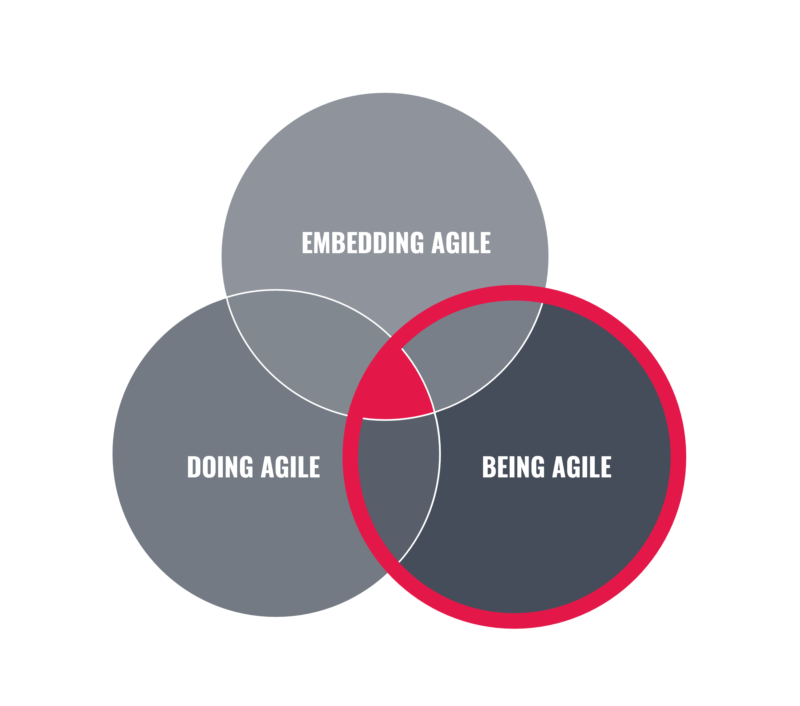 agile Transformation - Being Agile