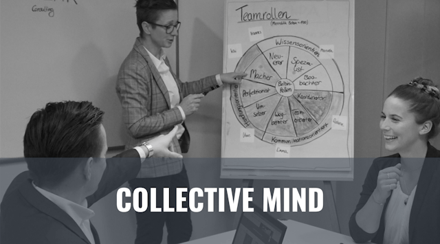 Blogbeitrag Collective Mind