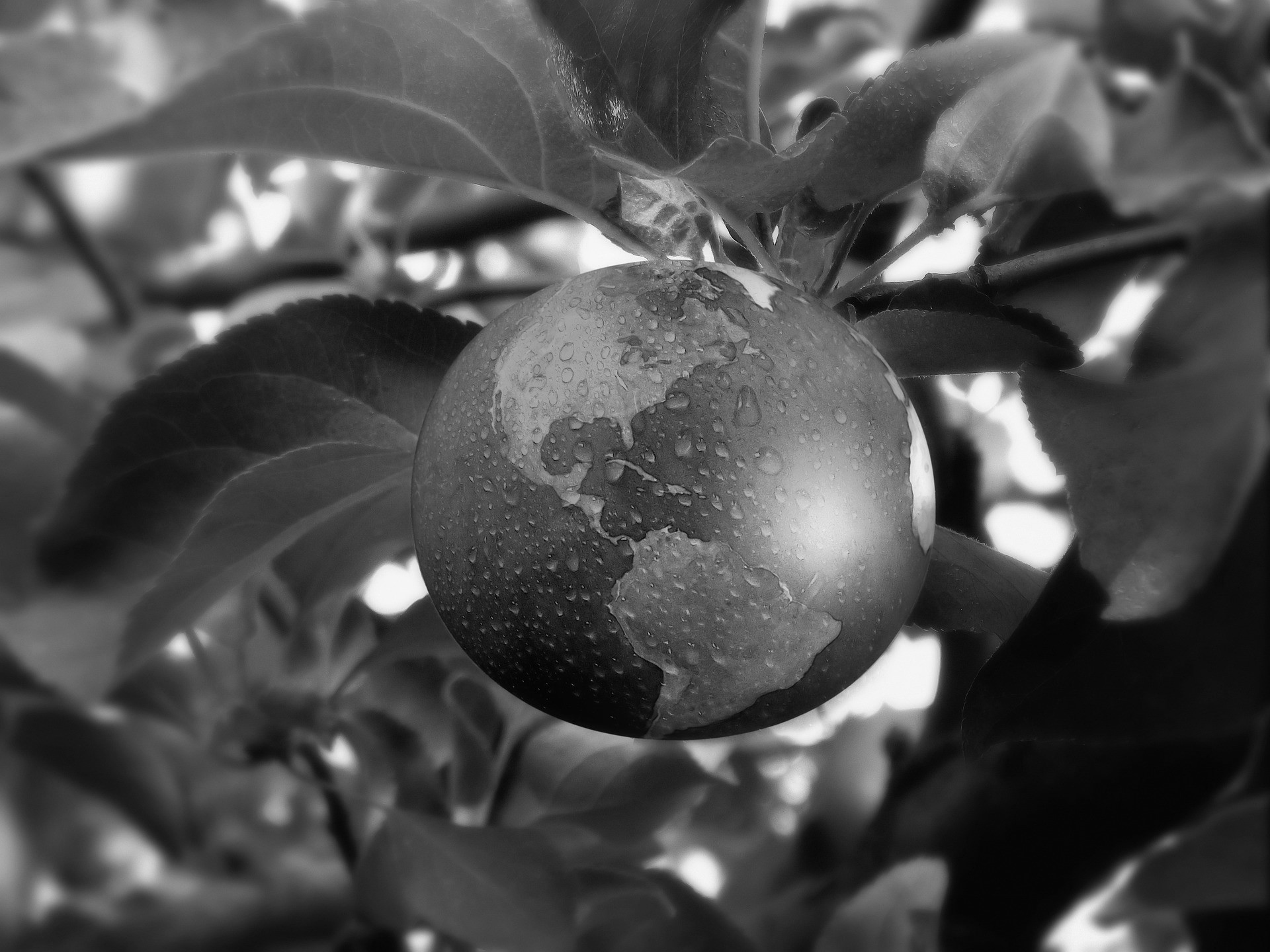 Nachhaltigkeitsglossar: Scope Emissionen