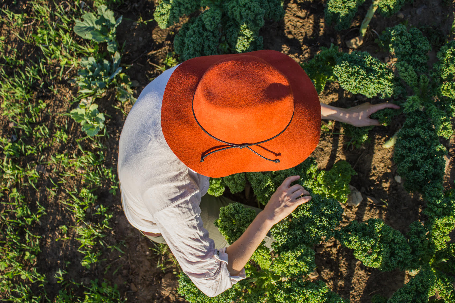 Le Jardin des Funambules