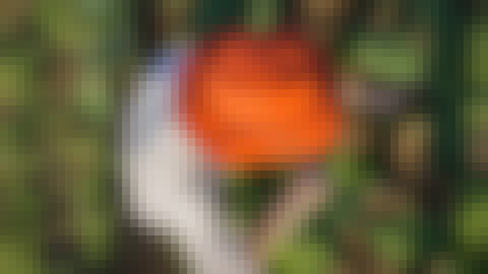 Le Jardin des Funambules