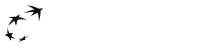 BNP Paribas Logo