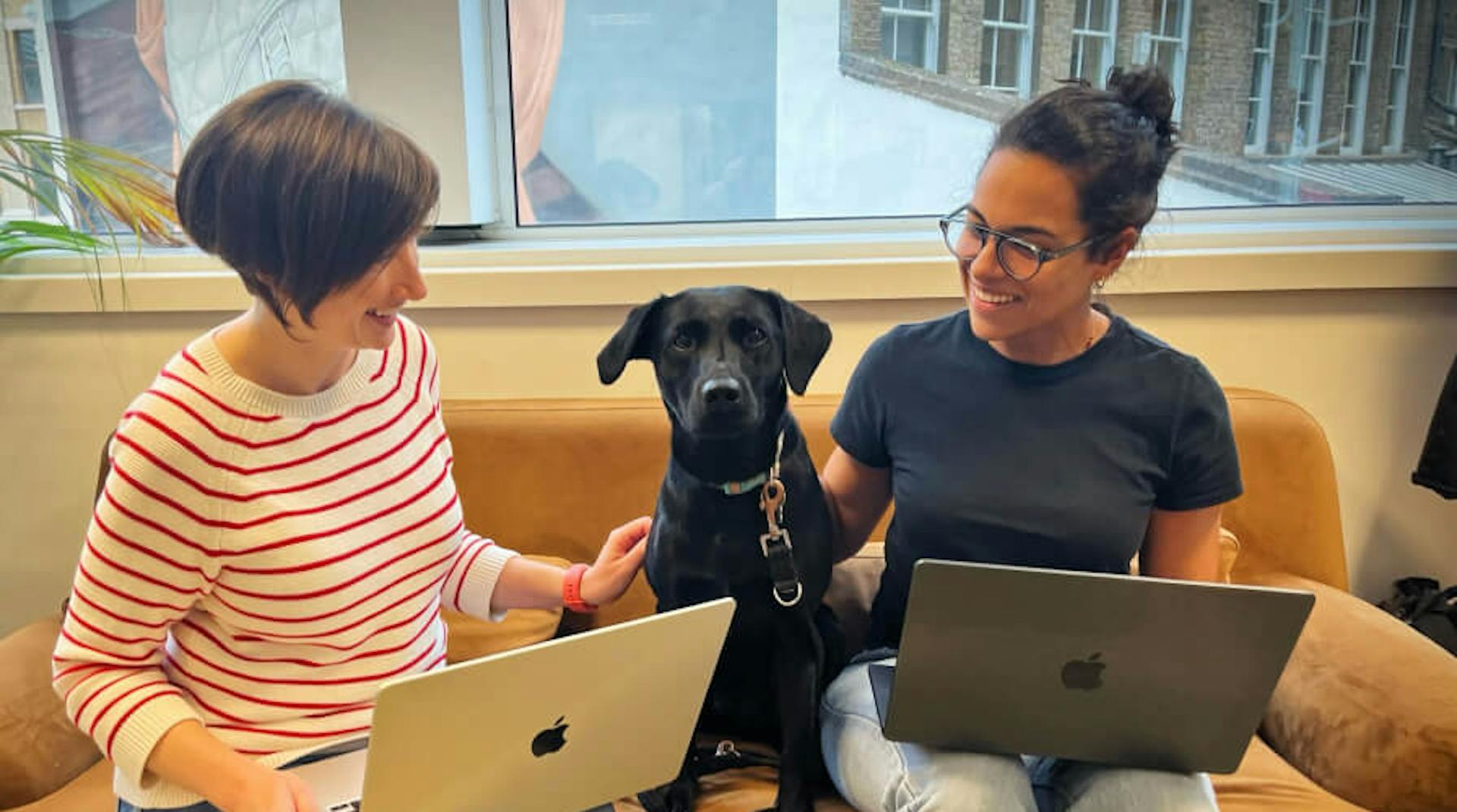 Two people with laptops on their lap sat either side of a black labrador on a sofa in front of a window. The dog is a very good girl.