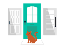 Cat at the door