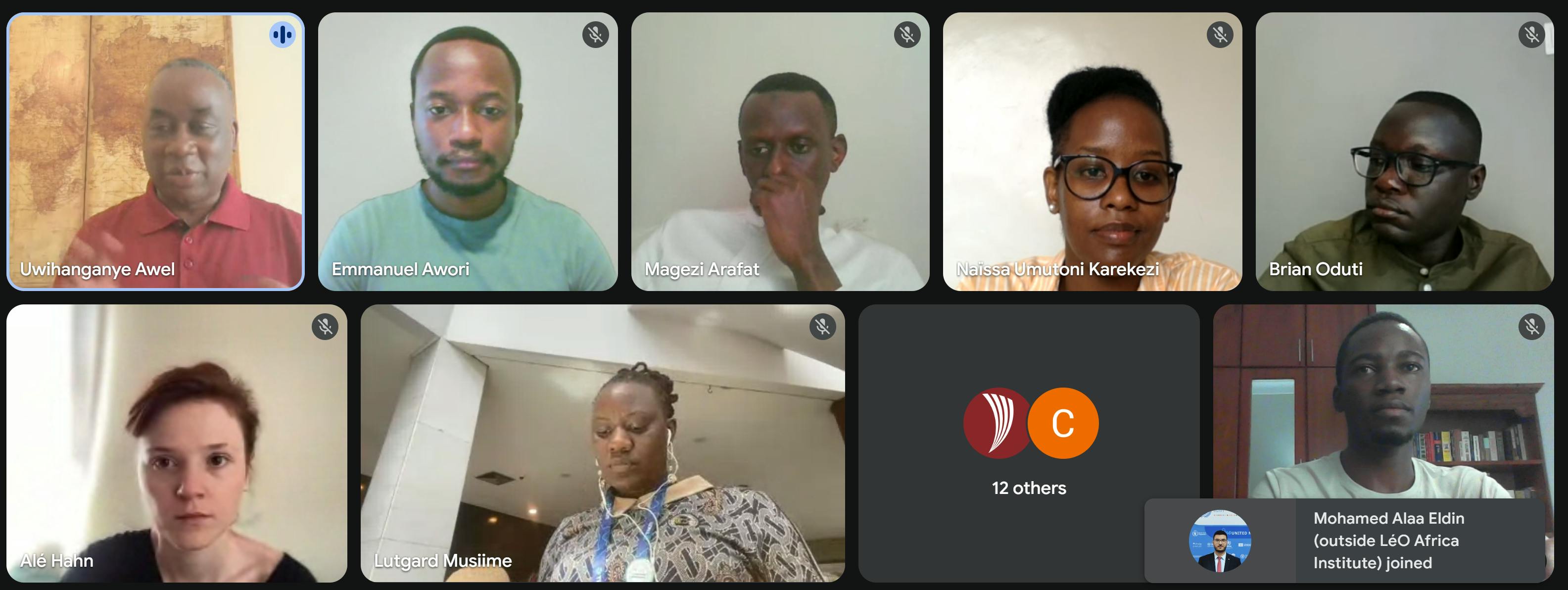 Fellows interacting in the virtual seminar