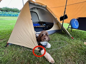 赤丸が、基本の係留位置