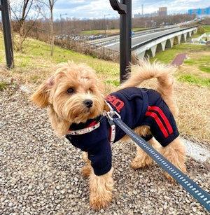 📷:ぽん太くん(@hitomiseino)