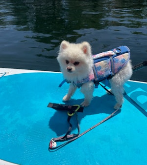 ライフジャケット着用はマスト。