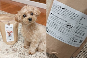 📷:のえるちゃん(@noel.10.23) レオ&レアでは、愛犬にぴったりな給与量をご提案します。