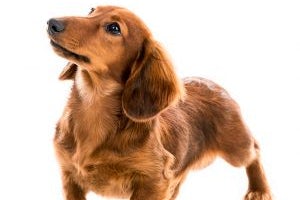 2f015f7e-fbb8-4079-ab1e-