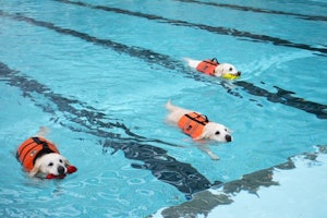 📸:「リハビリに、基礎体力つくりに是非ご利用ください!」
※Woof(ワフ)ご担当者様より
