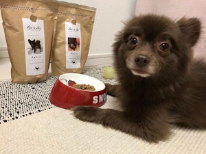 📷:チョコくん(@na20150101)⠀