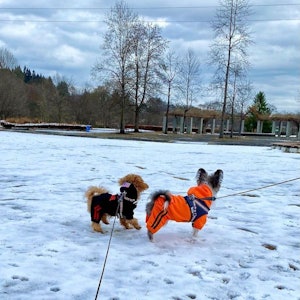 📷:ぽん太くん&ランちゃん(@hitomiseino)