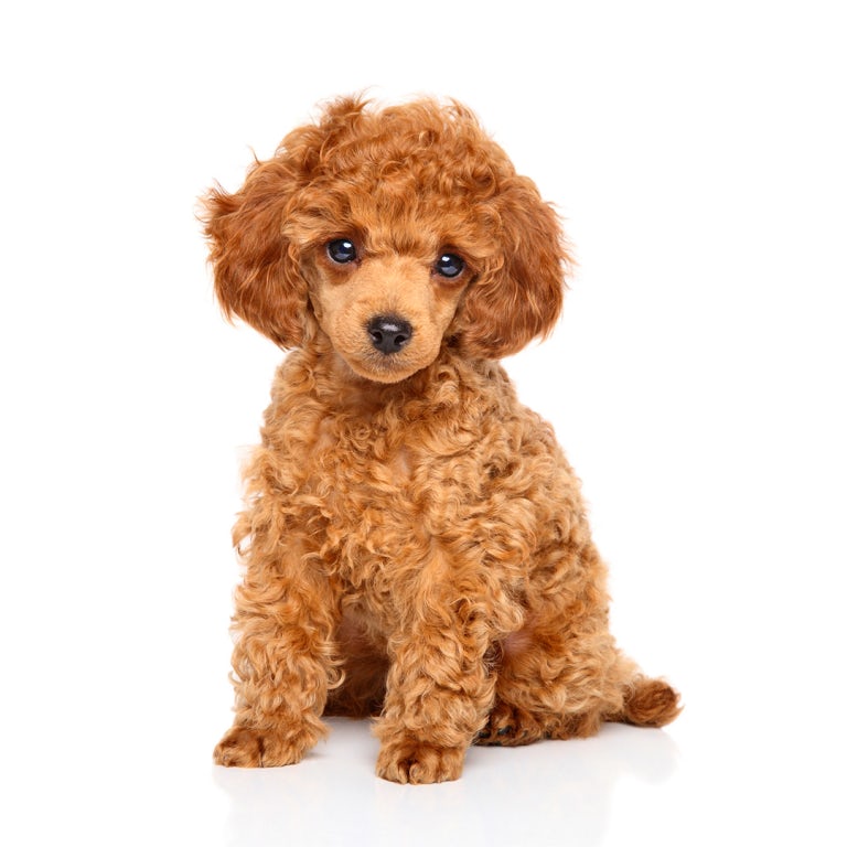 3ce9c395-1955-4041-87e1-