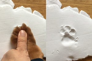 無法者 緩む 切り離す 犬 手形 粘土 100 均 Cafe Bar Andi Jp 無法者 緩む 切り離す 犬 手形 粘土 100 均 Cafe Bar Andi Jp