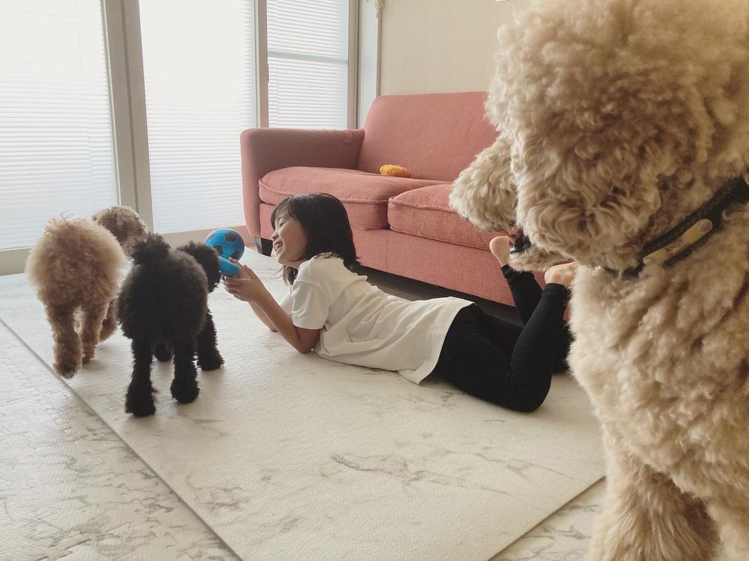 📸：Charliくん、Claireちゃん、Andyくんと家族、仲良し♡(@andy.0717.andy)