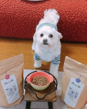 “ころたんのご飯 leoandleaさんに替えてから3回目が届きました。あんなに酷かった涙やけもだいぶマシになりました。 いつも目元びちゃびちゃでしたがそれはなくなりました。 いつか真っ白なころたんのお顔になるかなぁ”