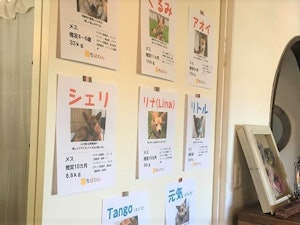 当日は、8匹のワンコが参加。どの子もとっても可愛かったです!