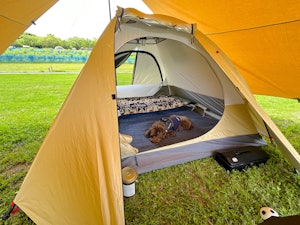 テントの中でのんびりする銀次郎