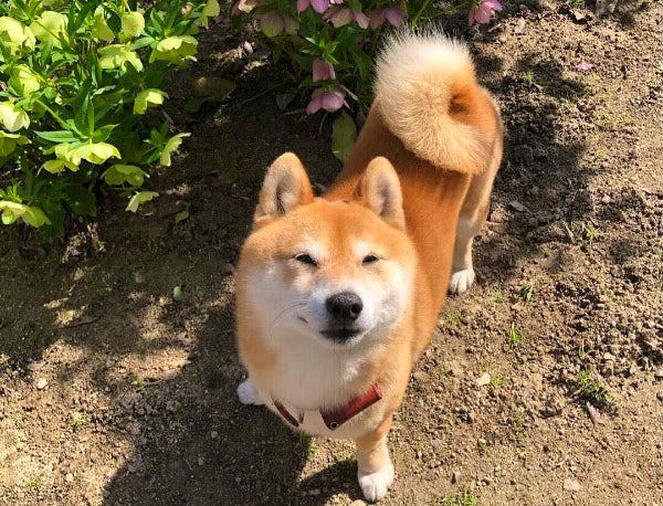 Wftx4bqlpeag9m Wftx4bqlpeag9m