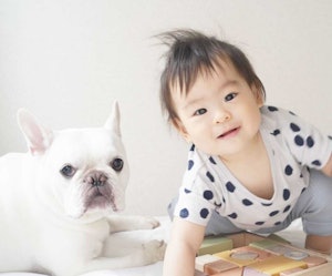 📸:わさびくんと家族、仲良し♡(@eucalpy_puts_)