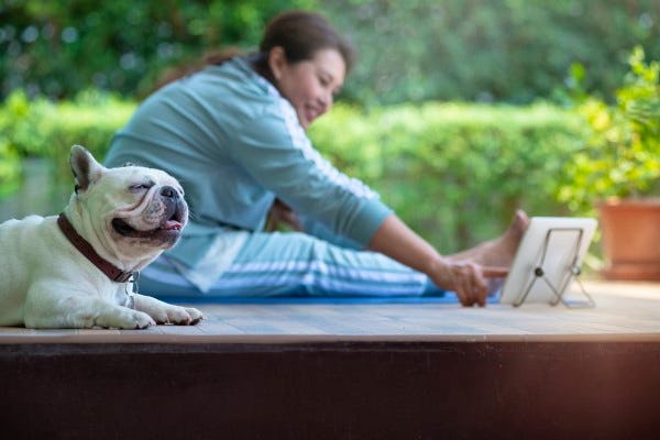 ポップコーン 枝豆 犬の肉球の匂いを調査してみた ポップコーン 枝豆 犬の肉球の匂いを調査してみた