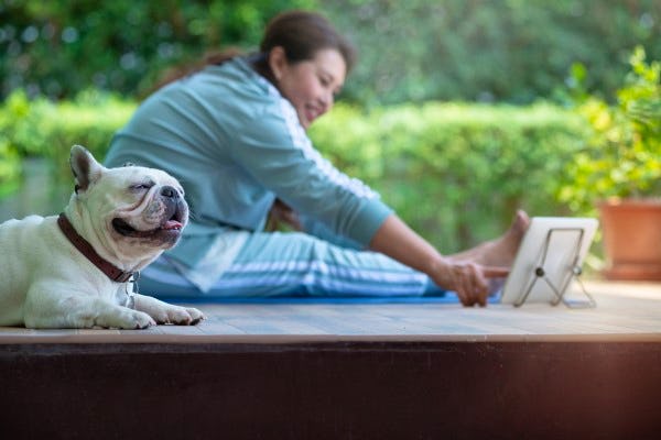 ポップコーン 枝豆 犬の肉球の匂いを調査してみた