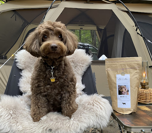 📷：レオアンドレアは800gパッケージ、持ち運びにぴったり
