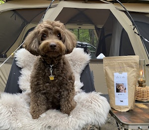 📷:レオアンドレアは800gパッケージ、持ち運びにぴったり