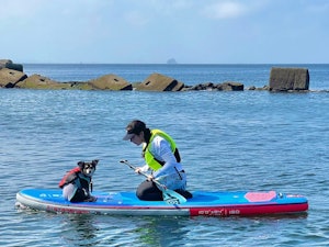 海上で愛犬と過ごす時間は至福