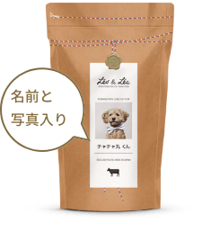 専門家に相談 トイプーに多い涙やけ 自宅で簡単3ステップお手入れ 専門家に相談 トイプーに多い涙やけ 自宅で簡単3ステップお手入れ
