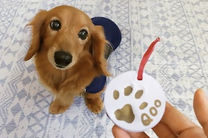 100均アイテムで簡単 犬diy 足形オーナメントのつくり方 100均アイテムで簡単 犬diy 足形オーナメントのつくり方